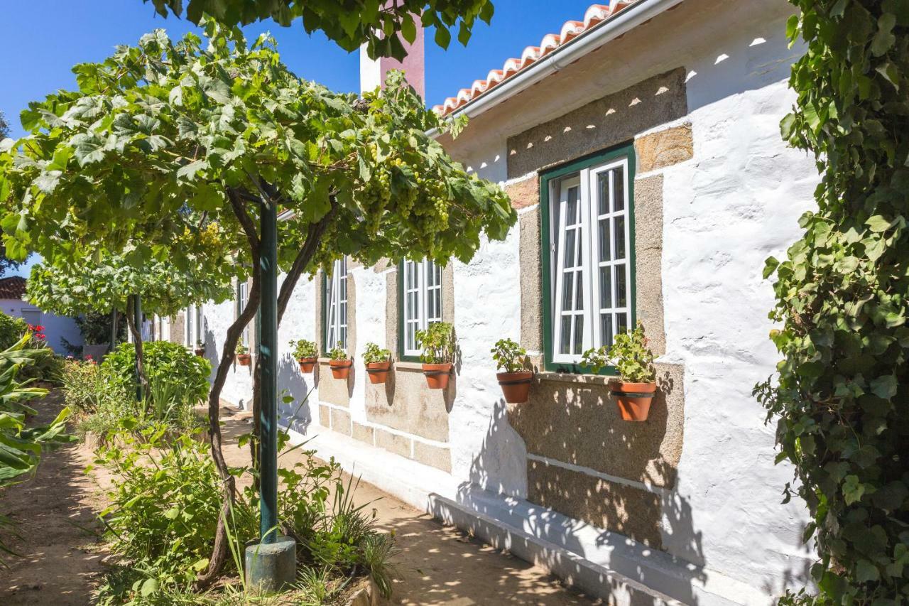 Quinta Do Valdalagea Guest House Peso da Régua Exterior foto